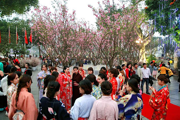 Sự kiện hoa anh đào luôn thu hút nhiều khán giả Việt Nam.